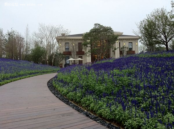 1416462716924116.jpg 1107141134fcd6470765ebb814.jpg